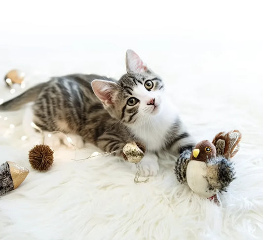 Gatito atigrado tumbado sobre una manta junto a un pájaro de juguete
