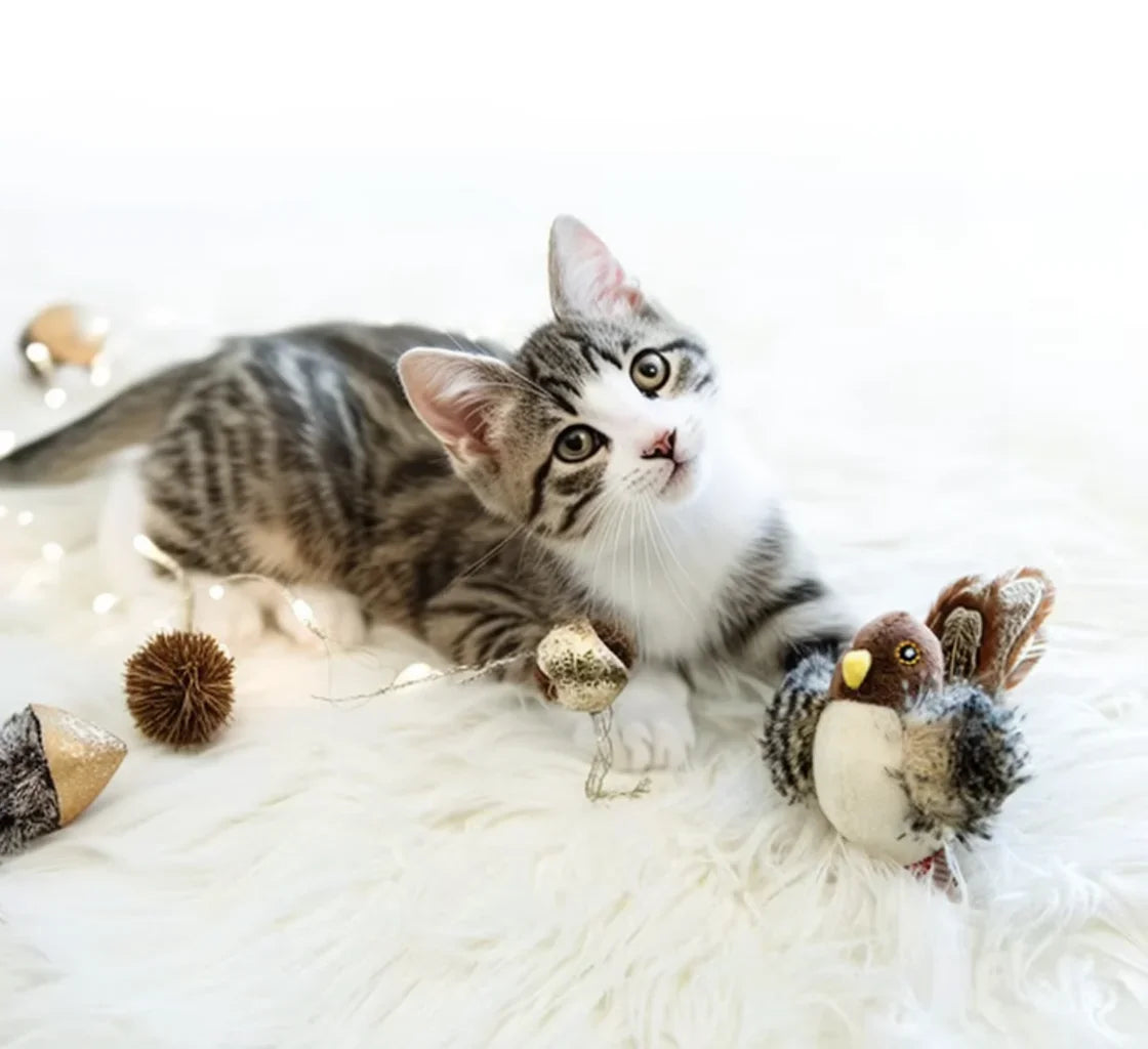 Juguete Pájaro Eléctrico para Gatos | Interactivo con Sonido y Plumas